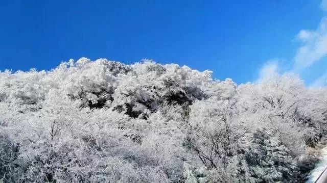 旋转的圆球